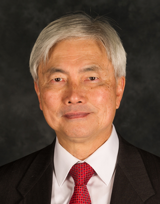 CouncillorChin LeeVice Chair